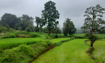ಜಾಂಬೋಟಿ ಬೆಟ್ಟ – ನೈಸರ್ಗಿಕ ಸೌಂದರ್ಯದ ಆಕರ್ಷಣೆ